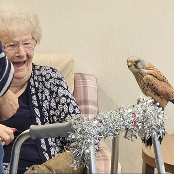 Feathered friends pay a flying visit to Worcester care home