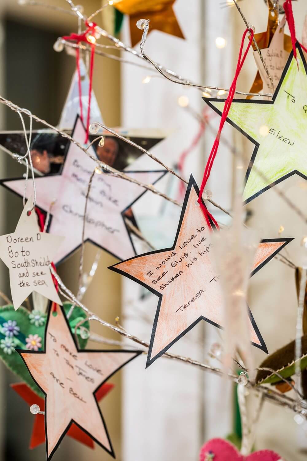 Armstrong House - Armstrong House wishing tree