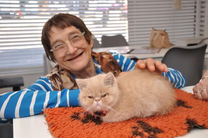 Cat lover Kathy enjoyed a visit to a cat cafe in Essex.