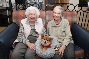 Meet the 15-year-old Chihuahua who’s spent a decade spreading joy at an Essex care home 