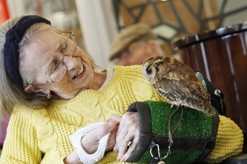 Feathered friends pay a flying visit to Reading care home