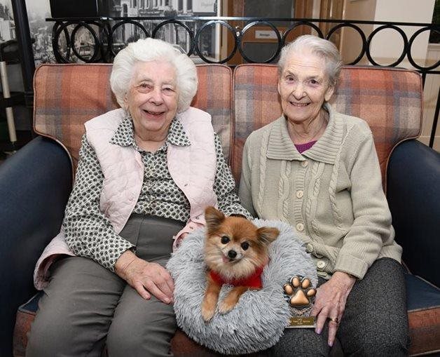 Meet the 15-year-old Chihuahua who’s spent a decade spreading joy at an Essex care home 