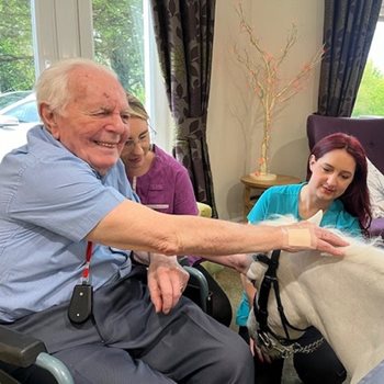 Adorable pony brings smiles to Buckingham care home residents