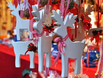 Christmas fair - free event at Chichester Grange