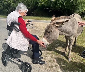 Salisbury resident revisits furry friends