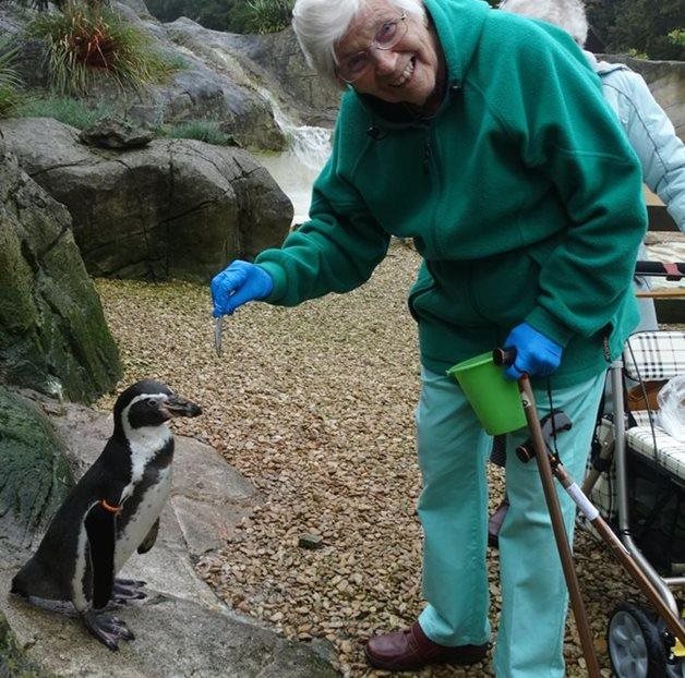 Witney care home resident, 90, has flippin' good time as honorary penguin keeper