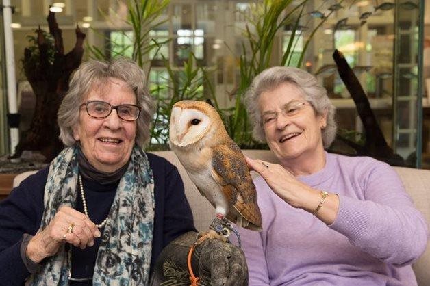 Residents at Sway care home flock together for RSPB Big Garden Birdwatch