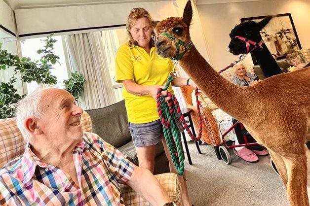 Furry friends bring smiles to Weymouth care home residents