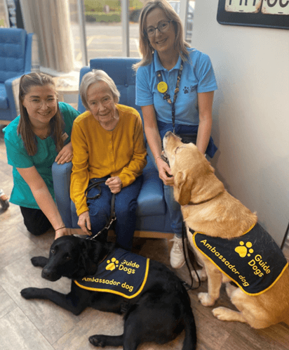 Perry Manor - Perry Manor guide dog wish