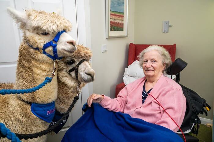 Elizabeth was delighted when her wish to meet alpacas was made a reality.