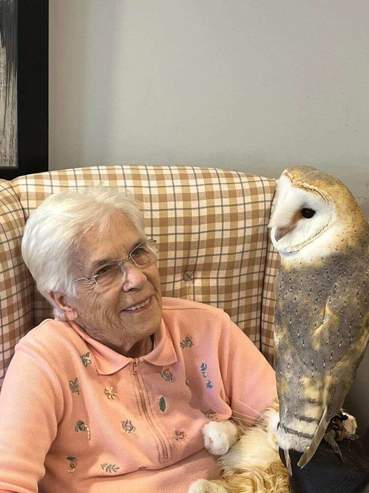 Anning House - Anning House owl visit