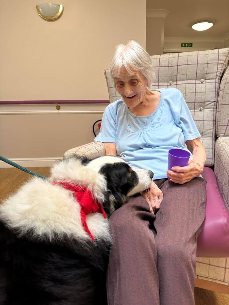 Hadrian Park - Hadrian Park pet therapy