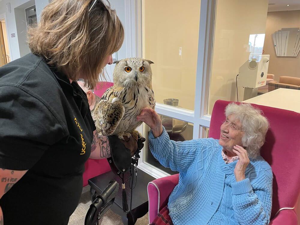 Anning House - Anning House owl visit