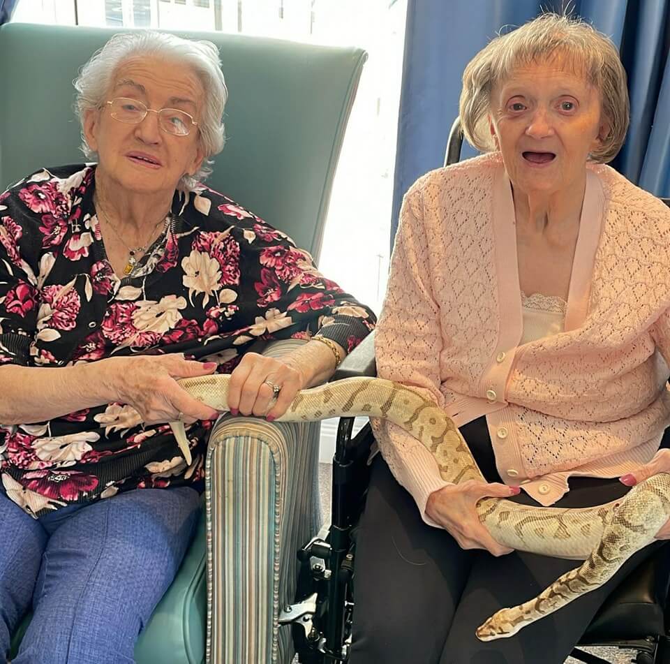 Care Assistant - Cheviot Court animal visit