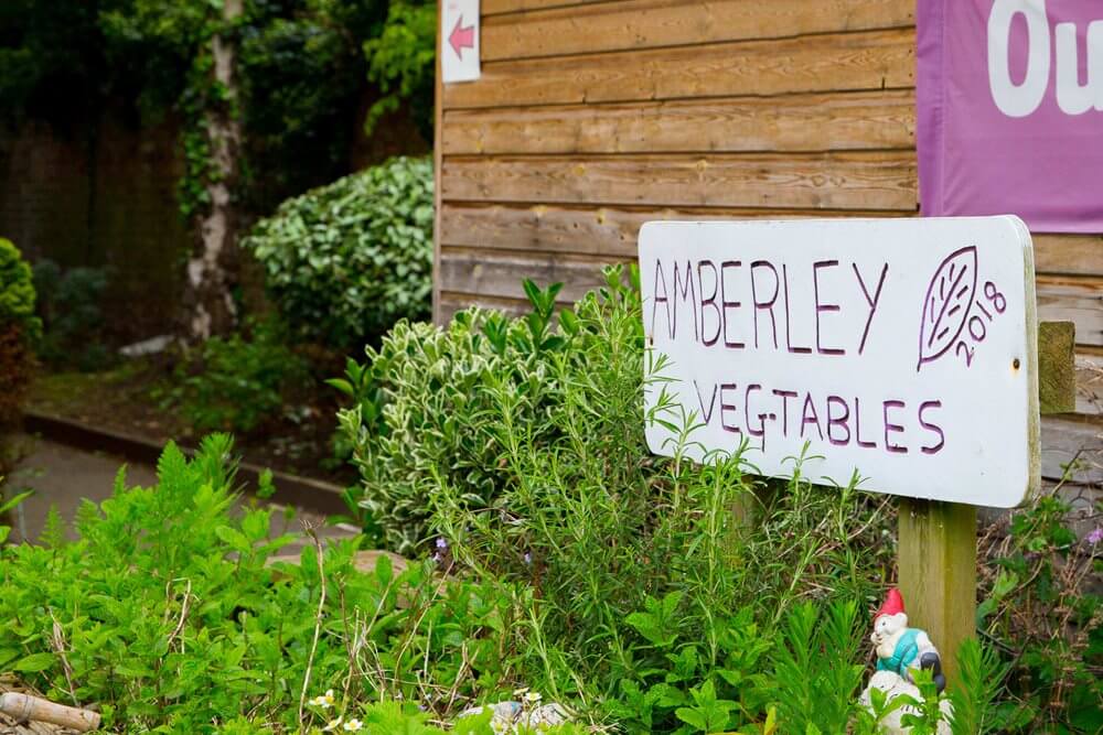 Registered General Nurse - Amberley Lodge garden 