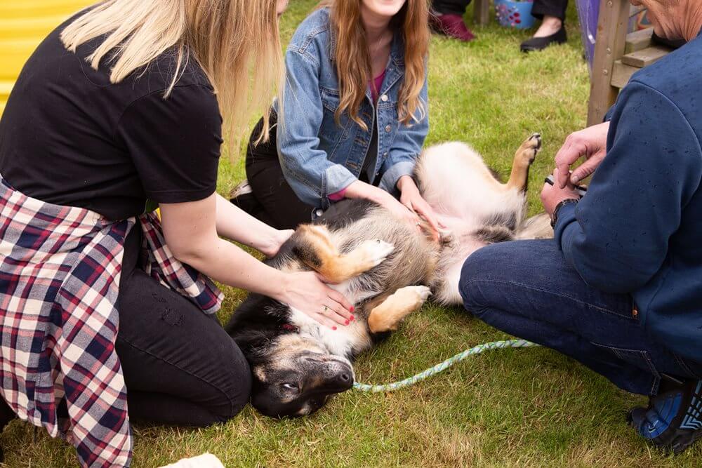 The team at Ambleside transformed the garden into 'Amblefest' for the residents to enjoy.