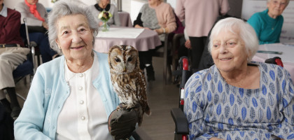 Bird is the word! Dorset care home residents spread their wings to celebrate the best of British birds