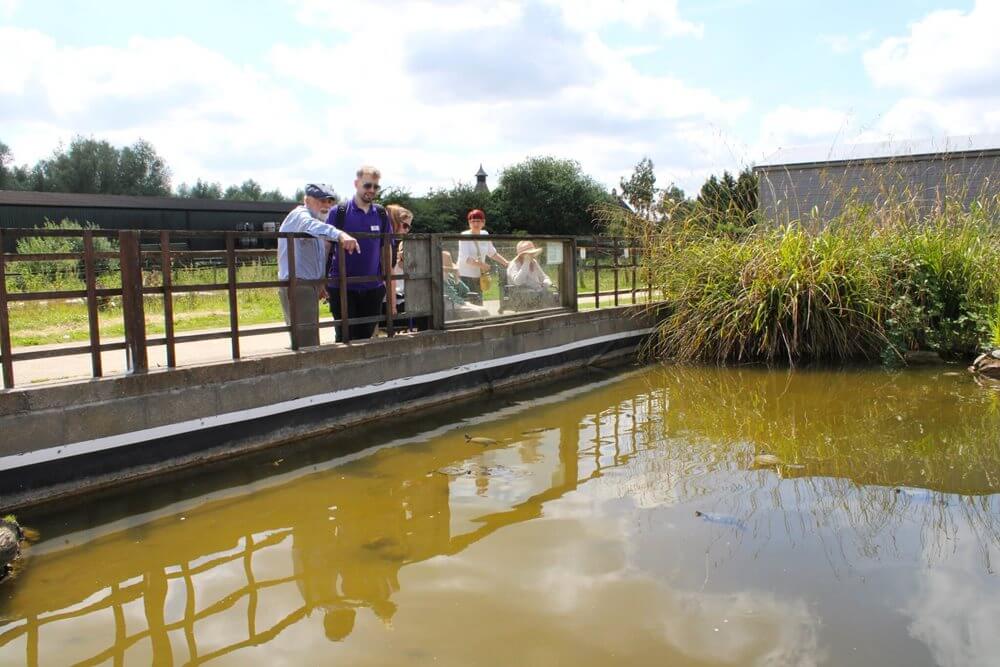 Kentford Manor - Kentford Manor nature reserve walk