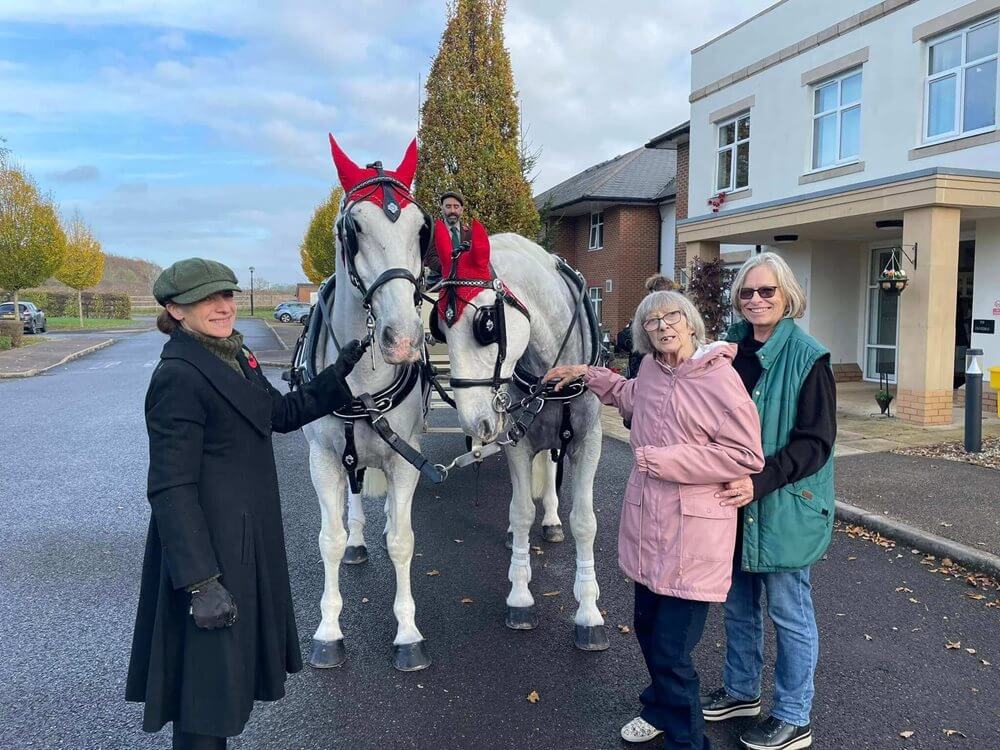 Ambleside - Ambleside horse wish