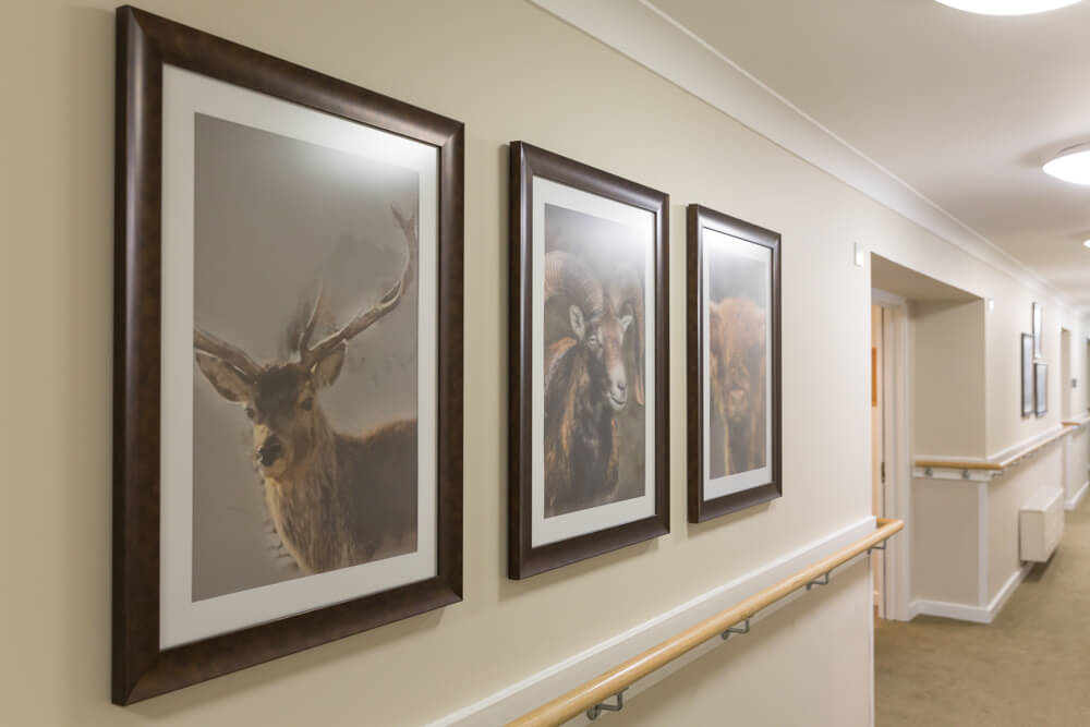 Laurel Dene - Laurel Dene hallway