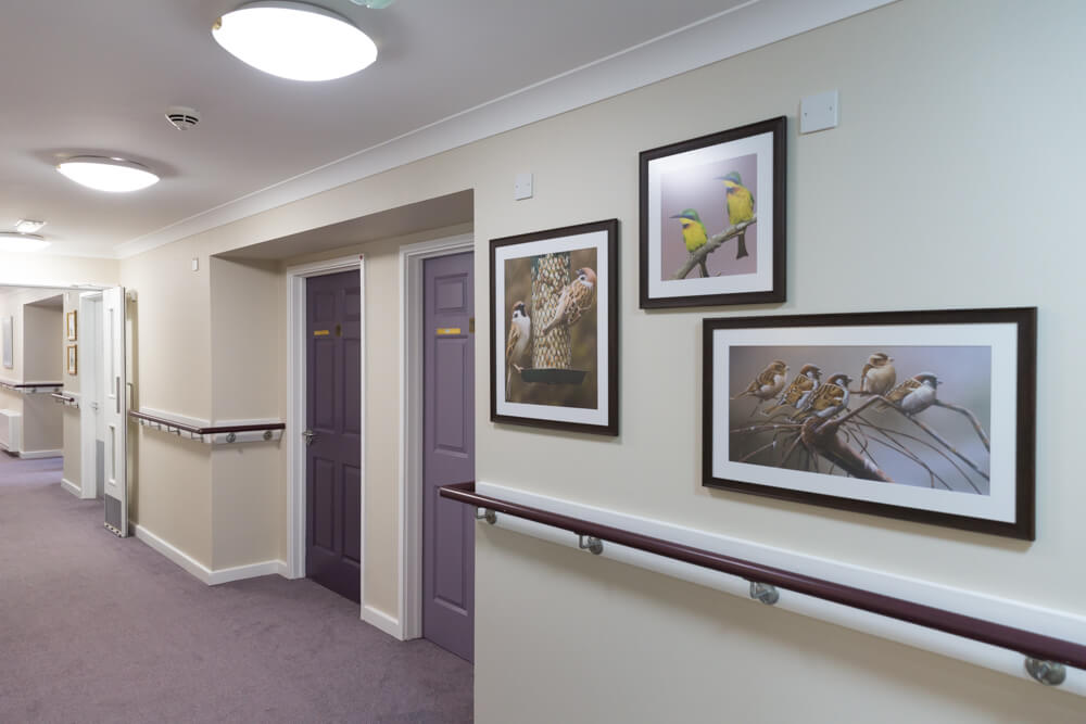 Laurel Dene - Laurel Dene hallway