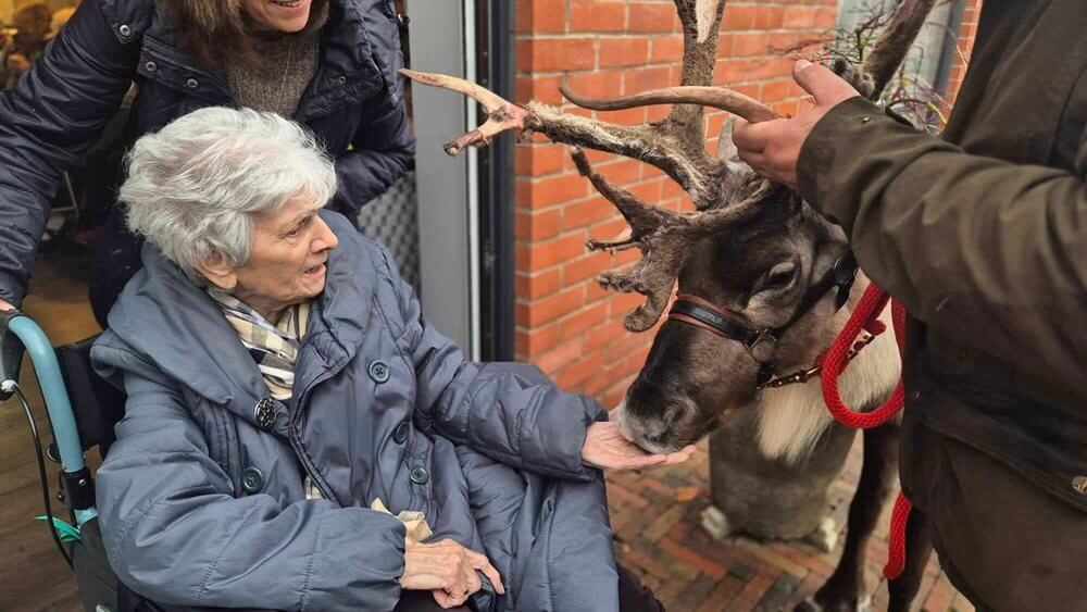 Deewater Grange - Deewater reindeer visit