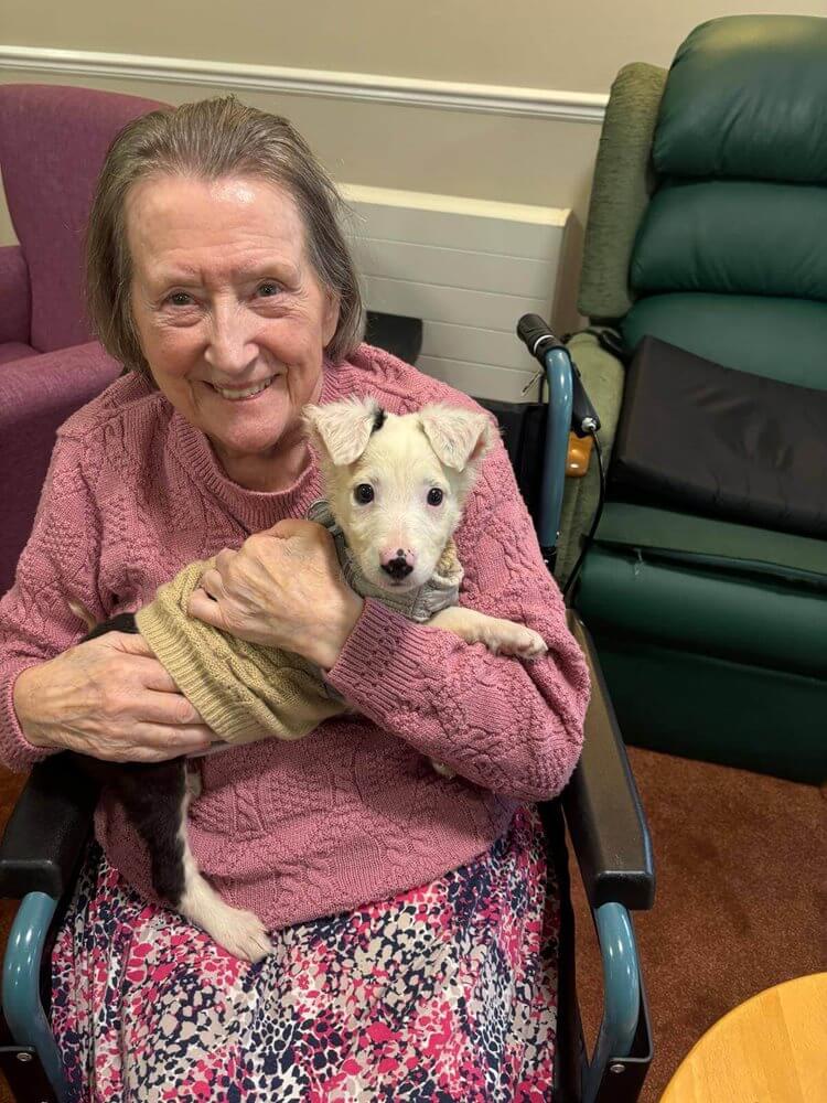 Queen's Court - Queen's Court pet therapy 