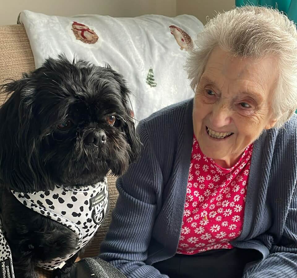 Care Assistant - Cheviot Court dog visit